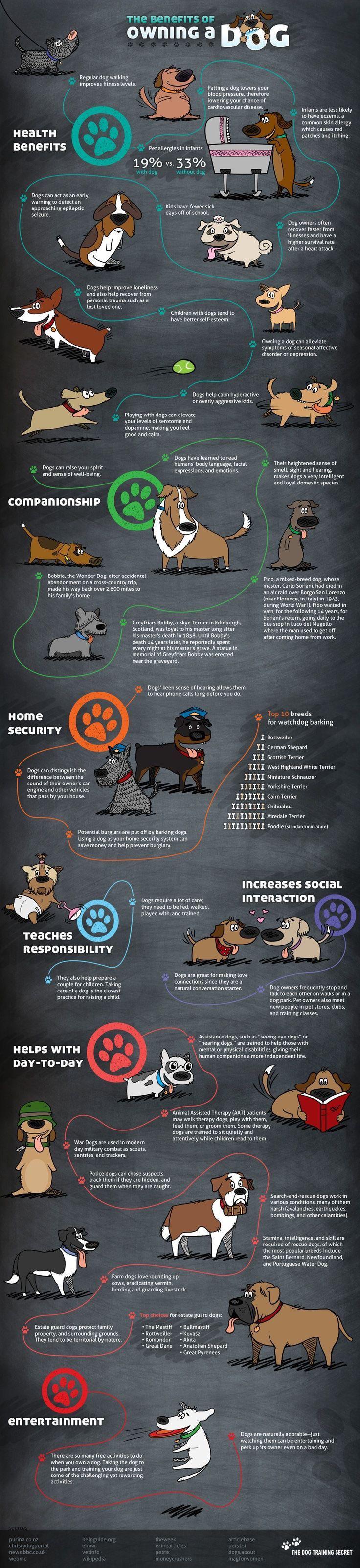 the many benefits dog owners enjoy